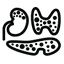 Endokrinologija